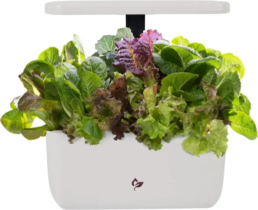 Mother's Day gift ideas for gardeners: AeroGarden Harvest 2.0